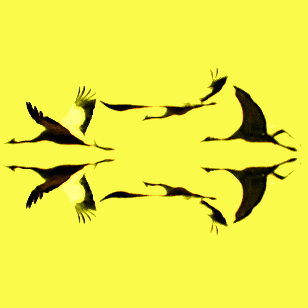 Exposition La Nature en Partage