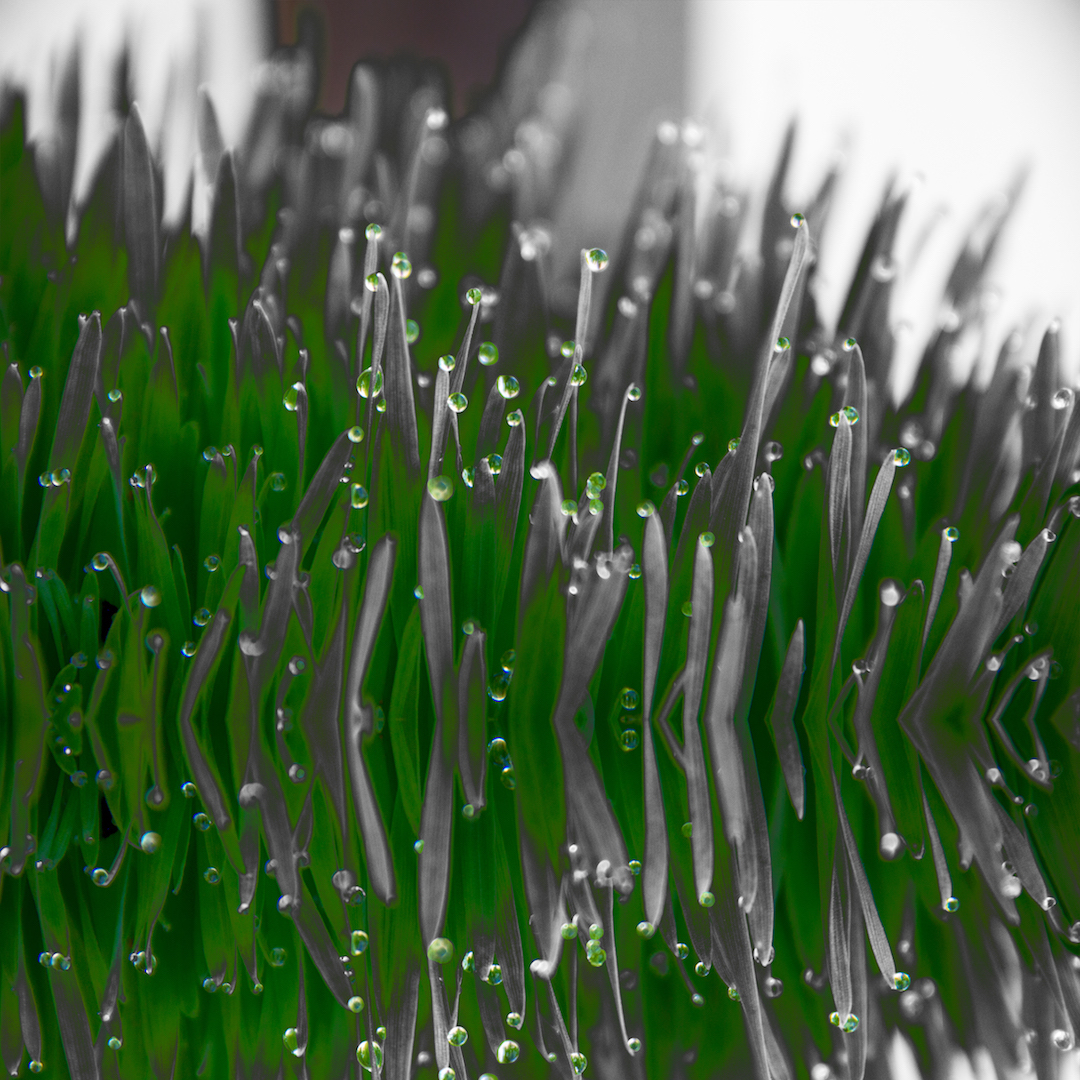 Jusqu'ici tout va bien