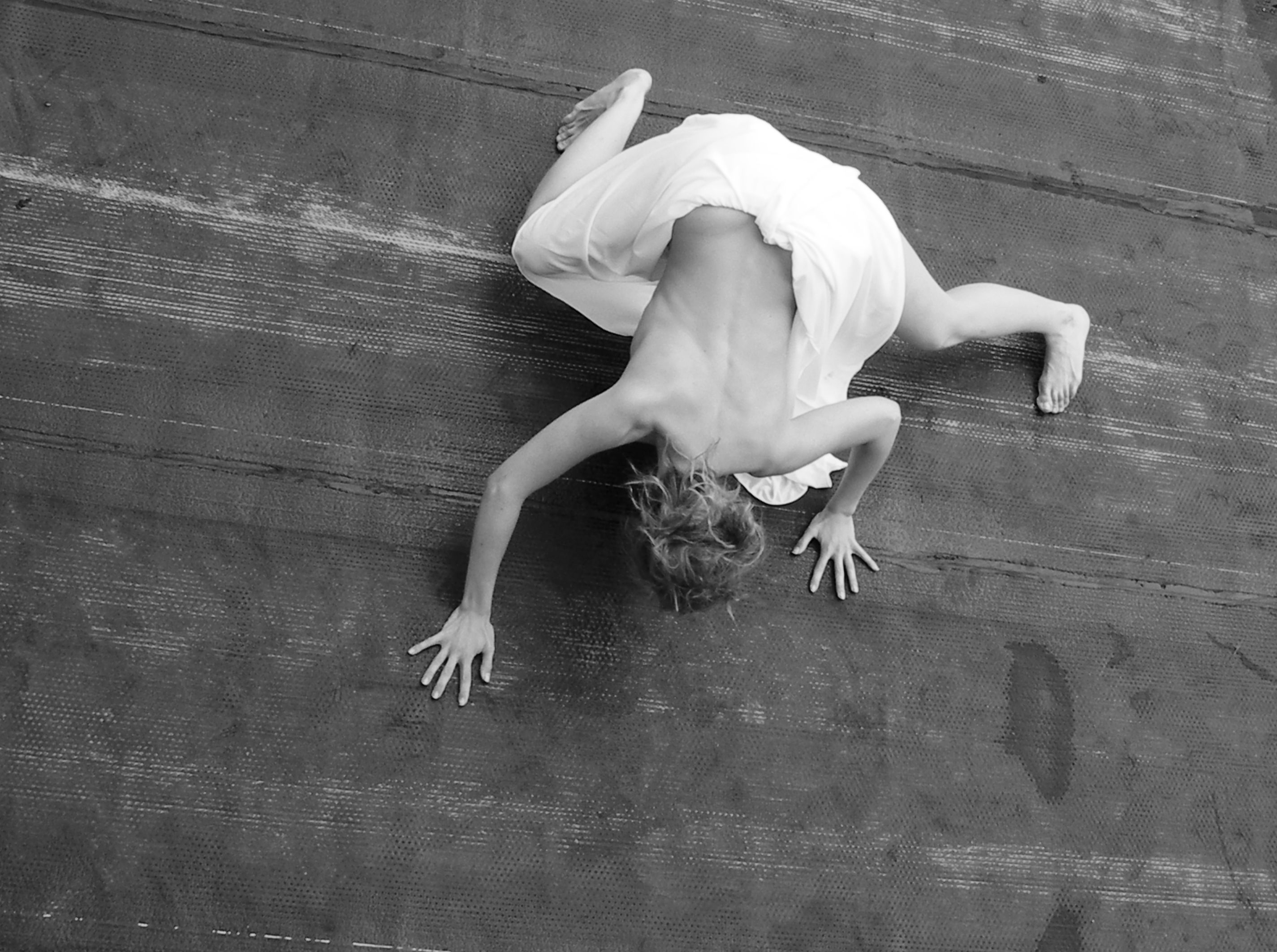 Grenouille - Nature figée